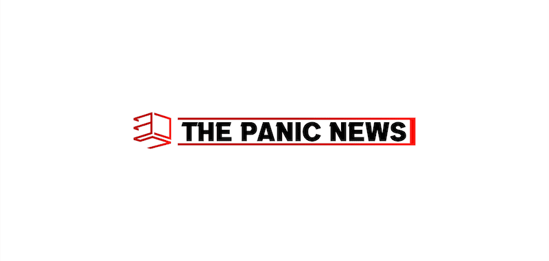 The Panic News - Promo