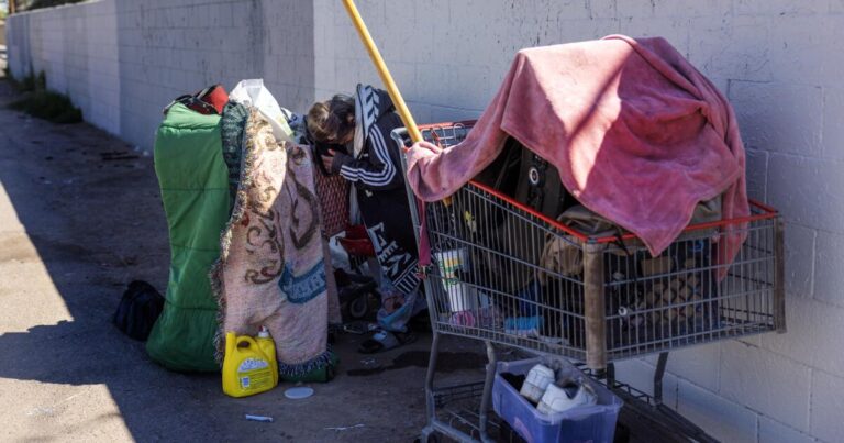 urlhttps3A2F2Fcalifornia times brightspot.s3.amazonaws.com2Ff12Fa42F1787ce9745539d2bbe93e6cdb0cb2F1433894 na homeless phoenix 24 gmf