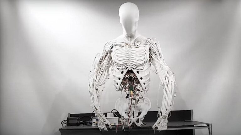 3 creepy humanoid robot moves using 1000 eerie artificial muscles