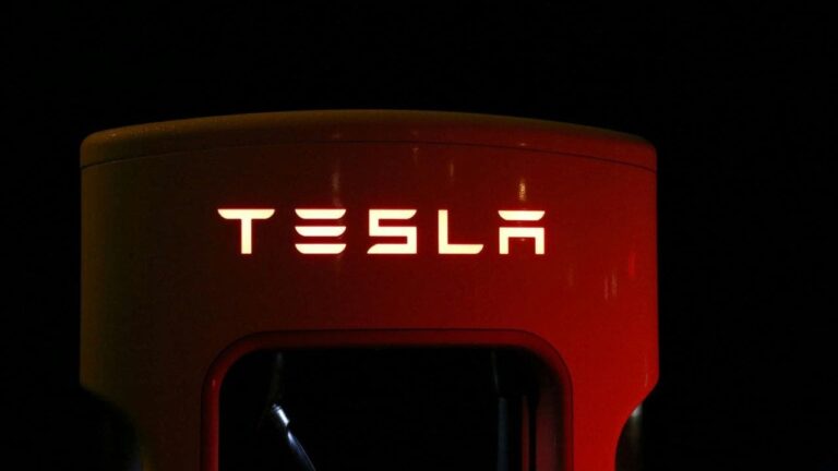 1 whos exposing tesla owners personal info and could you be next